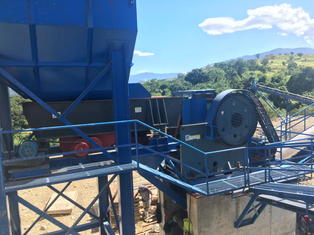 Vibrating Grizzly Feeder for Quarry and Mining Plant (ZSW600X1300) to Peru